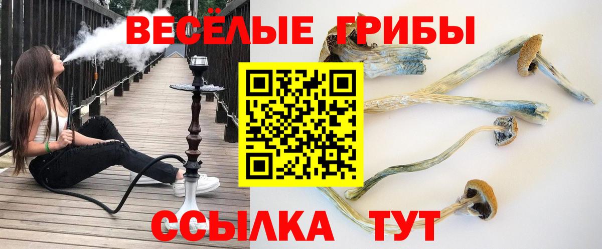 Псилоцибиновые грибы GOLDEN TEACHER Ухта